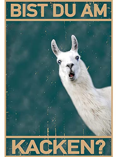 FiveMileBro Bist du am Katchen Katze Bild Poste, Lustiger Spruch poster Toilette Deko, Bathroom Toilet WC Decoration (Alpaka, 30cmx40cm)