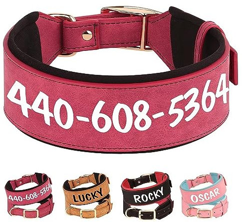 PET ARTIST Benutzerdefiniertes PU Leder Gepolstertes Hundehalsband für Mittlere Große Rassen Hunde mit Rotem Hundehalsb and Personalisiert mit Großem Namen und Heavy Duty Hardware, Rot L
