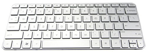 Acer Keyboard (Slovenian/Croatian) Silver, KB.I100A.229