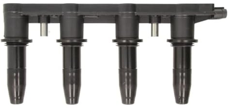 Delphi GN10234-12B1 Ignition Coil