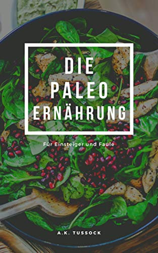Paleo Ernährung für Einsteiger und Faule: Eine Kurzeinführung in die Grundprinzipien der Steinzeit-Diät. Glutenfrei, low carb, clean eating – bunt und gesund.