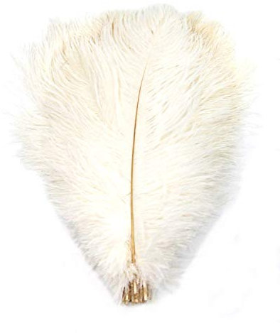 PANAX 20 stück Straußenfedern ca. 25-30cm Federnlänge Weiß