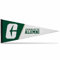 Rico UNC Charlotte 49ers Alumni Premium Wimpel, 30,5 x 76,2 cm