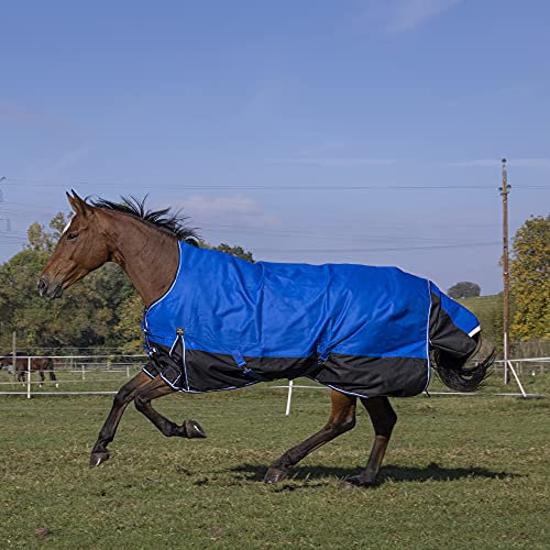 Winterdecke Highneck Combo 150g Füllung TYREX 1200D AISANCE EquiTheme blau/schwarz 125cm