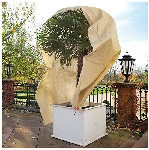 Hydrogarden Winterschutz Vlieshaube EXTREM beige, 80g Winterschutz für Kübelpflanzen Palmen Pflanzen Olivenbaum überwinterungszelt Wintervlies 250x 350cm