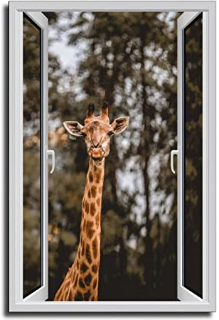 Giraffe Fenster Ansicht Tiere Poster Dekorative Gemälde Leinwand Wandkunst Wohnzimmer Poster Schlafzimmer Gemälde 60 x 90 cm