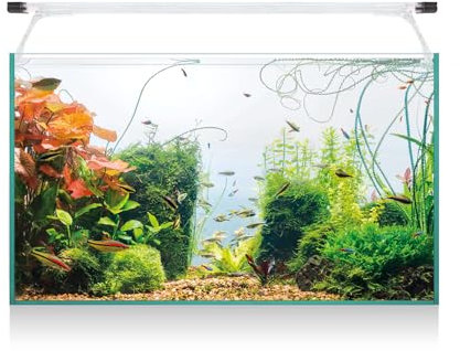 PIUMER - Acuario de Cristal, 52 litros, con Accesorios Kali60