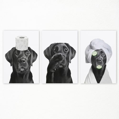 sdgobvco Leinwandbild mit Hundemotiv, 3 Stück, schwarz-weiß, lustiges Tier-Badezimmer-Poster, niedlicher Labrador-Hund nach dem Baden, rollendes Toilettenpapier auf dem Kopf, lustige Bilder für
