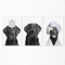 sdgobvco Leinwandbild mit Hundemotiv, 3 Stück, schwarz-weiß, lustiges Tier-Badezimmer-Poster, niedlicher Labrador-Hund nach dem Baden, rollendes Toilettenpapier auf dem Kopf, lustige Bilder für