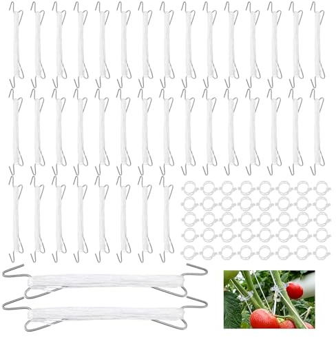 MUNGHOK 40 Stück Tomatenhaken mit Schnur 10m, Doppelte Tomaten Haken mit 40 Pflanzenclips und Seil, Metall Tomatenhaken für Hängende Tomaten und Gurken