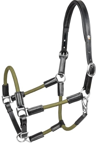 WALDHAUSEN Lederhalfter X-Line Nevada, schwarz/grün, VB