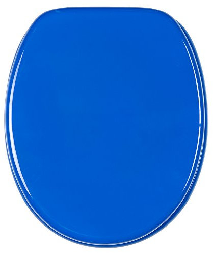 Sanilo Soft Close Toilet Seat, Stable Hinges, Easy to Mount, Wooden Toilet Seat Blue