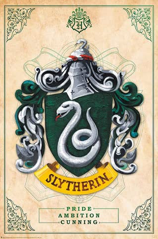 Harry Potter - Slytherin - Film Kino Poster Druck - Grösse 61x91,5 cm