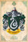 Harry Potter - Slytherin - Film Kino Poster Druck - Grösse 61x91,5 cm