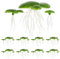 HAPINARY 2 confezioni di piante ornamentali con radice per acquari, 36 piante acquatiche galleggianti per acquari naturali, design sicuro per pesci