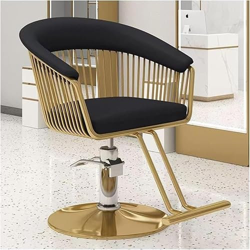 ZJGFCB Friseurstuhl Für Den Privaten Und Professionellen Friseursalon, Friseurstuhl Mit Drehgelenk Und Hydraulischer Pumpe, Verstellbarer Haarstyling-schönheitsstuhl(Color:Schwarz)
