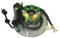 FALELELV Bobina Estator Estator Bobina Magneto sin luz para Motor 4 Tiempos refrigerado para Aceite de 155cc 1P60YMJ GPX de 150cc, 155cc y 160cc para Motos de Cross.