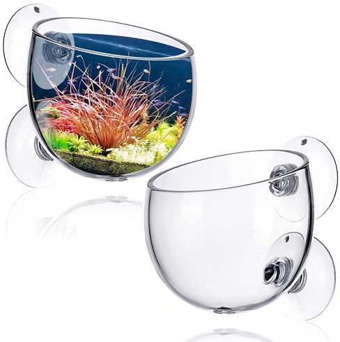 2 x transparente Glas-Wasserpflanzentöpfe mit Saugnäpfen, Aquarium-Pflanzgefäß, lebende Pflanzen, Aquarium-Dekoration
