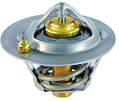 FAE 5323282 Thermostate