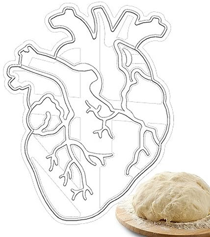 EUBEISAQI Anatomische Herzform - Einzigartige anatomische Herz- und Gehirn-Keksausstecher | Lustige Ausstechformen für, Teige, Donuts, Kuchen, Kekse, Fondant, Partygeschenke
