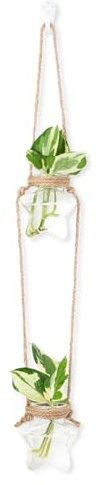 XXXFLOWER Estación de propagación de plantas hidropónicas para colgar en la pared, juego de 2 jarrones de cristal en forma de estrella para colgar en el hogar, decoración de jardín