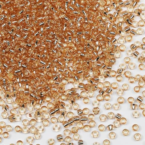 Bulk Seed Beads 200 Grams About 6500pcs, 3mm 8/0 Champagne Glass Craft Beads for Making Earrings, Bracelets, Pendants, Waist Jewelry,DIY Handmade Seed Beads（Champagne Silver Core）