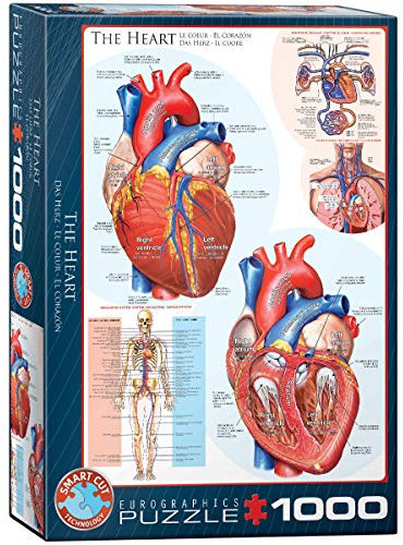 Eurographics 1000 Teile - Das Herz, 48x68cm