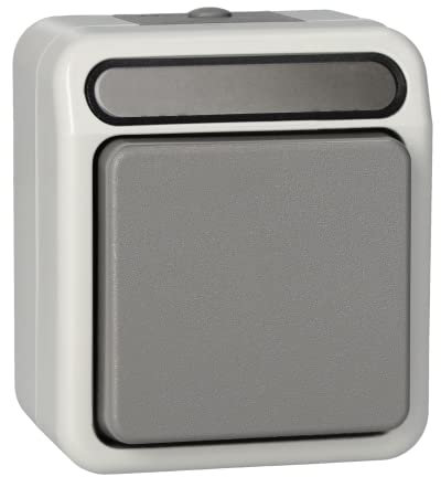 Schneider Electric Merten MEG3117-8029 - Interruttore a croce per ambienti umidi, 1 polo, IP44, AQUASTAR, grigio chiaro