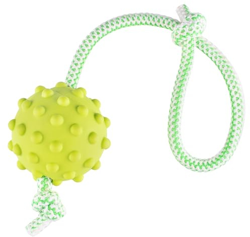 FANCY Pets Pelota con Cuerda para Perros, Pelota Interactiva para Perro - Juguetes Interactivos para Perros Pequeños y Medianos, Dog Ball