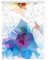 Lichtblick Klemmfix Tageslicht-Rollo mit Motiv, ohne Bohren, Blickdicht, Seitenzugrollo, Made in Germany, Grafik - Bunt 80 x 150 cm (B x L)