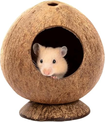 Gwezmxs Hamster Haus 12x12cm, Hamsterhaus Versteck, Meerschweinchen Zubehör mit Basis & Entlüftungsöffnung, Kokosnussförmiger