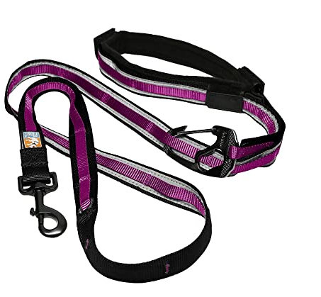 Kurgo Quantum 6-in-1 Hundeleine, Vielseitig einsetzbar, Mit reflektierenden Streifen, Verlängerbar von 122 - 183 cm, Rot