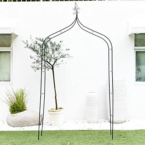 BBNY Gartenbogen-Eisen-Blumen-Stand-Trauben-Rosen-Stand-Anlagen-Klettern Pergola 255x140x38cm / 100x55x15Inch