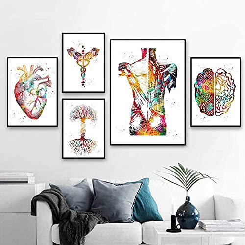 HMXQLW Herz Gehirn Menschliche Anatomie Poster Kunstdrucke Organ Anatomie Medizin Aquarell GemäLde Bilder Poster und Drucke Wandkunst Malerei Schlafzimmer Wohnzimmer Rahmenlos