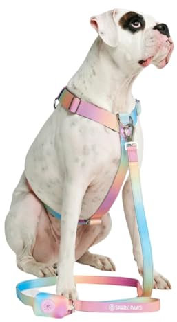 Spark Paws No Pull Hundegeschirr Grosse Hunde, Halterdesign mit Frontclip, Y Geschirr Hund, Robust und Strapazierfähig Harness für Große und Starke Rassen - Pastel Icing, M