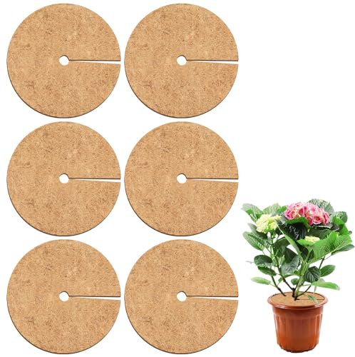 6 Stück Kokos Mulchscheibe, 35 x 35cm Kokosmatten Kokosscheibe Kübelabdeckung Winterschutz für Topfpflanzen Kokosmatte Kokos Pflanzenschutz Kokosfasermatte für Kübelpflanzen im Garten Gegen die Kälte