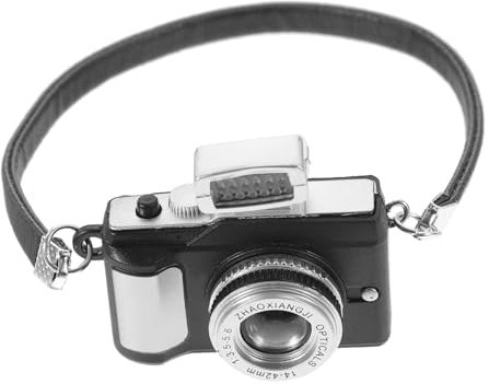 TOYANDONA Miniatur Kamera Dekoration Für Puppenhaus Kreative Fotografie Requisite Für Hängendes Band Plastisches Kameradesign Ideal Für Miniatur Deko Und Gartenaccessoires