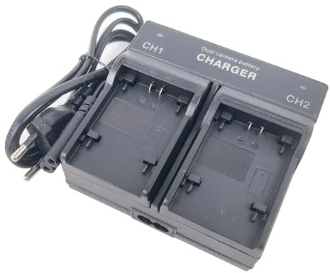 Dual-Channel - Batteria caricabatterie per JVC BN-VG107 BN-VG108 BN-VG114 BN-VG114E BN-VG121E BN-VG138 Everio GZ-HM690 GZ-HM50 GZ-HM960 GZ-E GZ-GX GZ-HD GZ-HM GZ-MS Series Camera