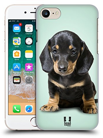Head Case Designs Sitting Dachshund Puppy Popular Dog Breeds Hard Back Case Compatible With Apple iPhone 7/8 / SE 2020 & 2022