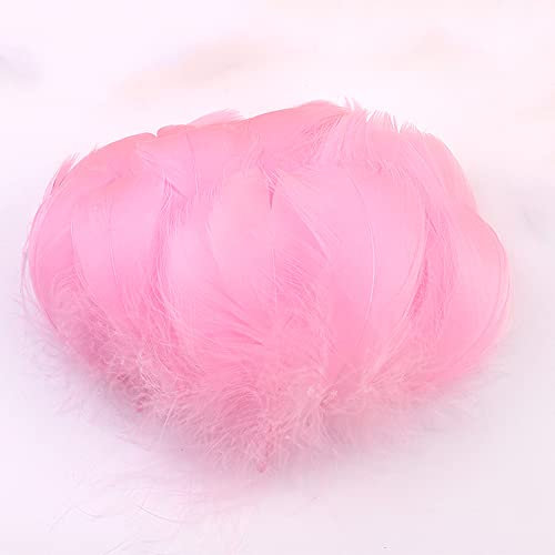 Duories 100 Stück Bunte Feder zum Basteln Naturfedern Gänsefedern Indianer Bastelfedern für DIY Kunstwerk Masken Hüte Ohrringe Haarschmucken Traumfänger Hochzeit Karneval Party Dekoration,5-8cm Rosa