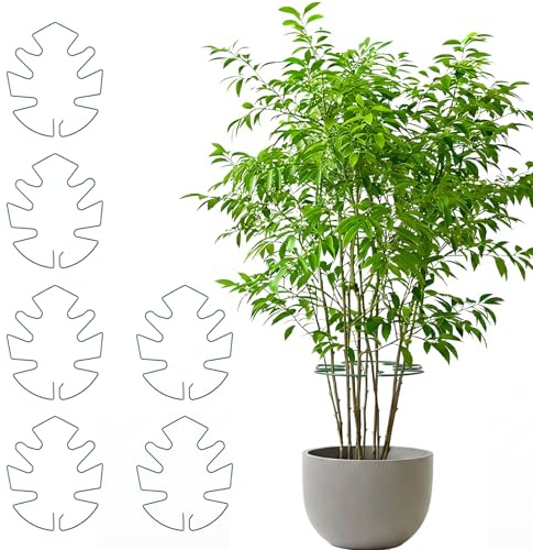 MINGBOLIN Tutores para Plantas,6 Piezas Soporte Plantas Soporte para Plantas Tutor Tomate Soportes para Plantas Monstera Anillo de Soporte para Plantas Soporte para Plantas de Interior Metal