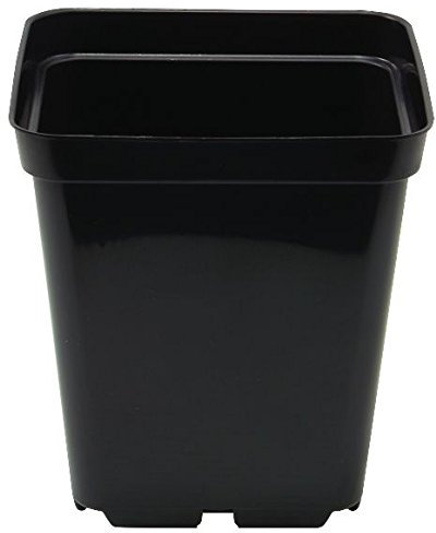 PLANT IT 10 cm 0.7 Litre Square Plastic Pot - Black