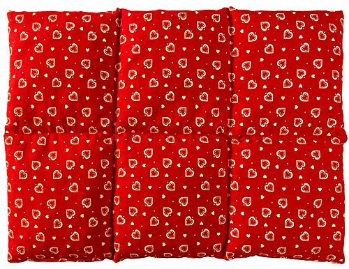 Saco térmico para la espalda - Almohada térmica para microondas y horno - (40x30cm rojo con corazones con 6 compartimientos, semillas de grosella)