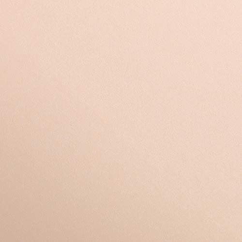 Clairefontaine 48164C Packung (mit 25 Bögen Zeichenpapier Maya, DIN A2, 42 x 59,4 cm,270g, glatt, ideal für Trockentechnik und Einrahmen) aprikose