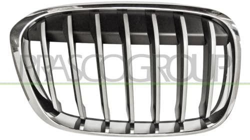 PRASCO Griglia radiatore BM7062013