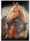 MyPuzzle Zwei Pferde umschlungen - Premium 100 Teile Puzzle - MyPuzzle Sonderkollektion von Puzzle Galaxy