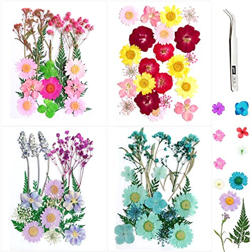 VEGCOO 82 Pièces Fleurs Séchées, Ensemble de Fleurs Séchées Naturelles Bricolage, Fleurs Naturelles Multicolores Pressées pour Bricolage Résine Bijoux Maquillage Habiller Nail Art Décorations