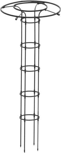 Rankgitter mit Schirm, vertikaler Metallgarten, Stützrahmen for Kletterpflanzen, Weinrebenständer, rostfreier Pflanzenturm for Blumen(90cm)