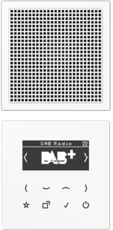Jung DABLS1WW Smart Radio DAB+ Set Mono Alpinweiß Serie LS