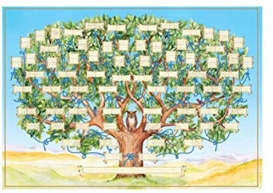 KKPLZZ Leinwand-Stammbaum-Diagramm, 6 Generationen Genealogie-Poster zum Ausfüllen leerer ausfüllbarer Ahnentafel-Stammbaum-Poster DIY-Wand-Dekor